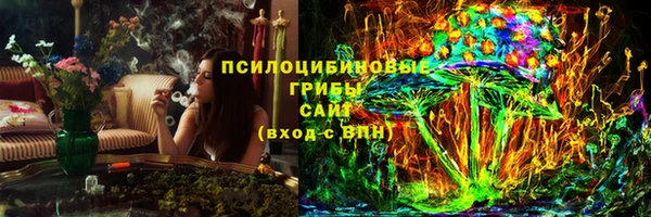 дурь Вяземский